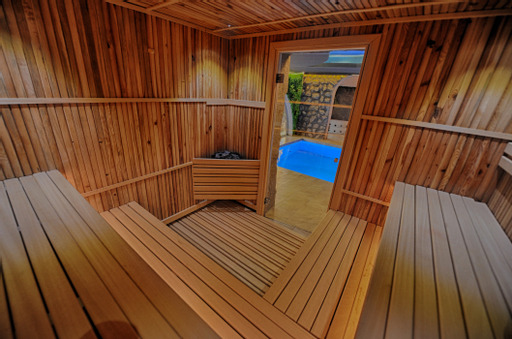 sauna steam bath